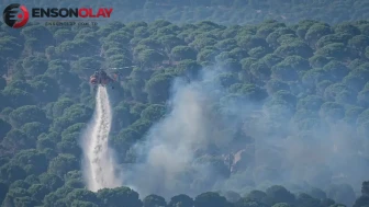 Balıkesir Gömeç'te Ekipler, Orman Yangınıyla Mücadelesini Sürdürüyor
