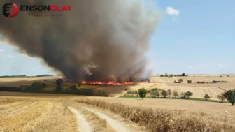 Kırklareli Babaeski'de buğday tarlasında yangın : 600 dönüm arazi zarar gördü