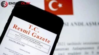 MAPEG, 115 maden sahasının ihalesini yapacak: Detaylar yakında açıklanacak