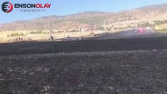 Diyarbakır Silvan’da 100 dönümlük tarım arazisi yangında küle döndü
