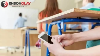 Fındık Tezgahlarındaki Yeni Sezon Heyecanı: Yeşil Kabuklu Fındık İlk Fiyatı Belli Oldu mu?
