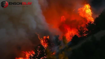 İspanya'daki orman yangınında 30 bin hektar alan kül oldu
