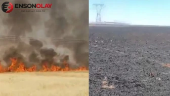 Şanlıurfa'da yangın : 45 dönümlük buğday ekili alan zarar gördü