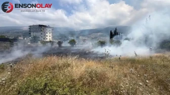 Hatay İskenderun'da otluk alanda yangın