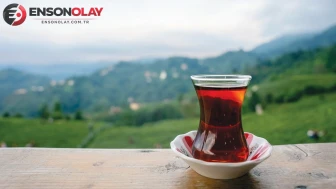 Çayın Başkenti Rize'ye Keyifli Bir Yolculuk Başlıyor!