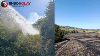 Balıkesir'de dün 5 farklı ziraat alanda yangın çıktı