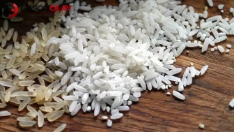 Çankırı’nın asırlık lezzeti tescillendi ! Ilgaz pirinci resmen koruma altında