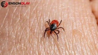 Tokat'ta KKKA alarmı : 3 kişi hastaneye kaldırıldı