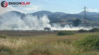 Samsun Tekkeköy'de samanlıkta yangın paniği : Alevler büyümeden söndürüldü