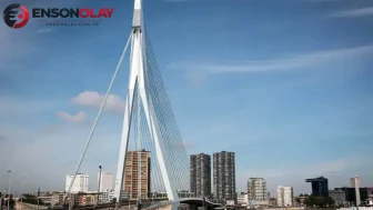 Hollanda Rotterdam'da iki tramvay çarpıştı : 15 yaralı