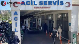 Şanlıurfa'da kayıp kadının cesedi, yanan araçta bulundu : 4 gözaltı