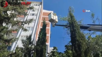 Adıyaman'da yavru kedi kurtarma operasyonu