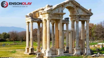 Tarım ve Orman Müdürlüğü hibe desteği ile çilek yetiştiriciliği nasıl geliştiriliyor?