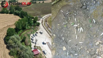 Samsun'da su kirliliğine neden olan tesise rekor ceza: 839 bin TL