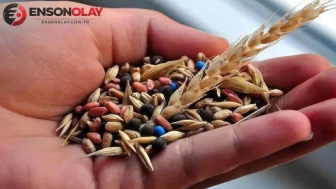 Türk tohumu dünyaya açılıyor: İhracatta dikkat çeken tablo