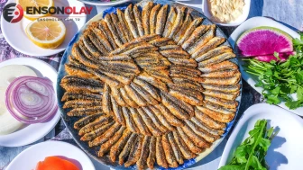 TasteAtlas dünyanın en iyi hamsili yemeklerini listeledi : Türkiye'nin hangi lezzetleri yer alıyor?