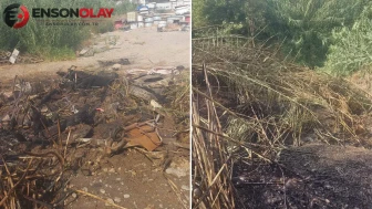 Antalya'da otluk yangını büyümeden kontrol altına alındı