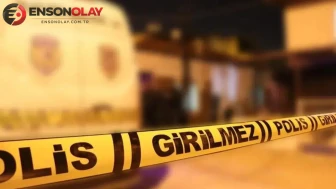Tokat Almus'ta traktör devrildi : 1 ölü, 1 yaralı