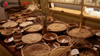 12 bin yıldır genetiğini koruyarak sağlıklı bir şekilde varlığını sürdüren bitki, üretim alanını iki katına çıkaracak