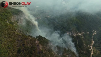 Bosna Hersek'te orman yangınları : Söndürme çalışmaları devam ediyor