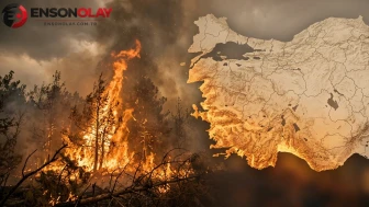 2025'te 3 bin 224 orman yangını: 81 bin hektar kül oldu: Her 10 yangından 9'u insan kaynaklı!