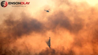 ABD'deki Orman Yangınına Müdahale Eden Helikopter Kaza Yaptı
