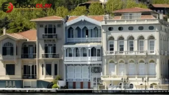 Servet Koçak kimdir ve ailesinin faaliyetleri nasıldır?