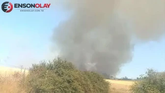 Çanakkale Ezine'de orman yangını : Alevlere havadan ve karadan müdahale ediliyor