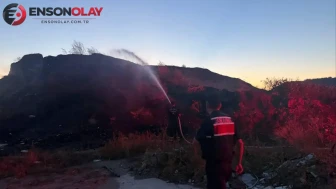 Bilecik'te ot ve çalılık yangını ekiplerin müdahalesiyle söndürüldü