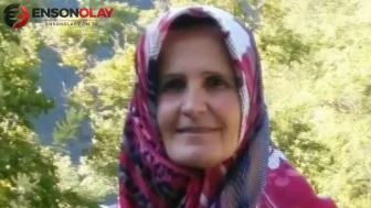 Yaylada yürürken sırtından vuruldu ! 60 yaşındaki kadına yorgun mermi isabet etti