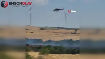 Tekirdağ'da korkutan anız ve orman yangını: Havadan ve karadan müdahaleyle söndürüldü