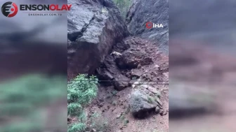 Tunceli'de ender rastlanan dağ keçileri objektiflere yansıdı!