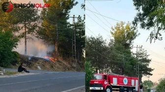 Tekirdağ'da korkutan yangın : Alevler ağaçlara sıçradı