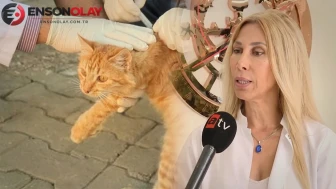 Doktora gitti kuduz olduğunu öğrendi aldığı yanıt hayrete düşürdü: 20 yıl sonra bile patlak verebilir