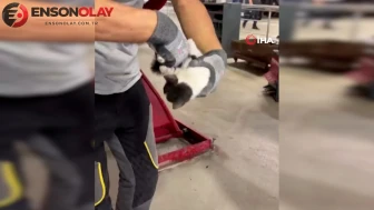 İzmir'de sürücünün kurtarmak istediği yavru kedi aracın motoruna girdi