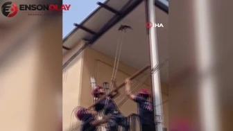 Adana'da evin tavanına sıkışan güvercin itfaiye ekipleri tarafından kurtarıldı
