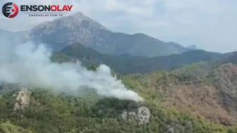 Antalya Kemer'de orman yangını : Havadan ve karadan müdahale başlatıldı