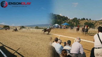 Kastamonu'da Kaçan At, Yarış Atıyla Kaza Yaptı!