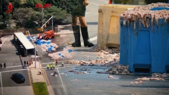 Kalamarlar yola saçıldı: Yetkililer “26 Kalamar Kıyameti” dedi