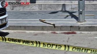 Şırnak'ta yaşanan aile içi anlaşmazlık taşlı sopalı kavgayla sonuçlandı: 1 kişi ağır, 2 kişi yaralı!