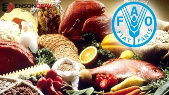 FAO'dan önemli uyarılar : Gıda fiyatları yıl sonunda yükselir mi?