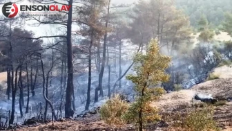 Marmaris iki gündür yanıyor! Orman yangınına havadan müdahale devam ediyor