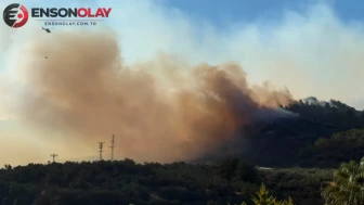 Çanakkale'de 2 ayda toplam 44 orman yangını çıktı