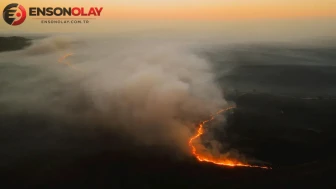 ABD'nin Nevada eyaletinde orman yangını : 32 ev kül oldu, yaralılar var