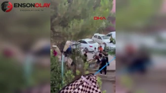 Pendik'te köpek havlaması kavgası: İki kişi tutuklandı