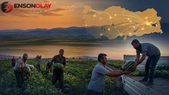 Karpuz hasadı başladı: 198 bin ton üretim, 2,1 milyar liralık gelir hedefleniyor