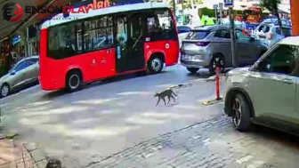 Bandırma'da yaya yol veren otomobile otobüs çarptı