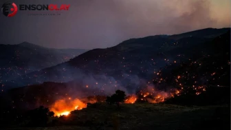 Fransa'nın güneydoğusundaki orman yangınlarında binlerce kişi tahliye edildi