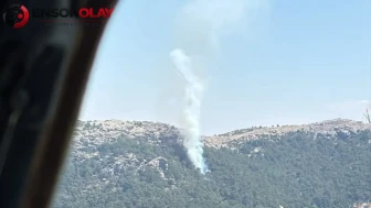 Muğla Milas’ta çıkan orman yangını söndürüldü