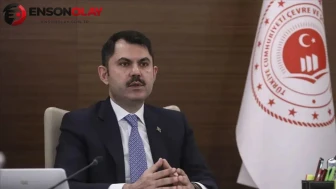 Bakan Kurum orman yangınlarının bilançosunu açıkladı : 5 şehirde 92 yapı hasar gördü